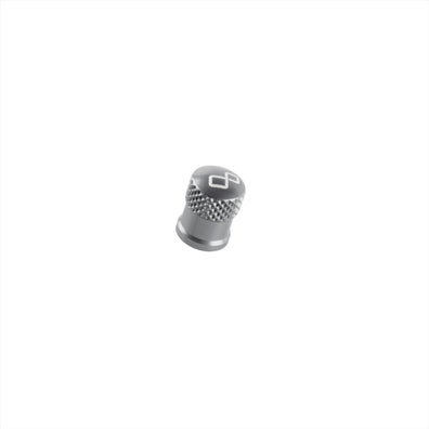 Wheels Valve caps - SILVER